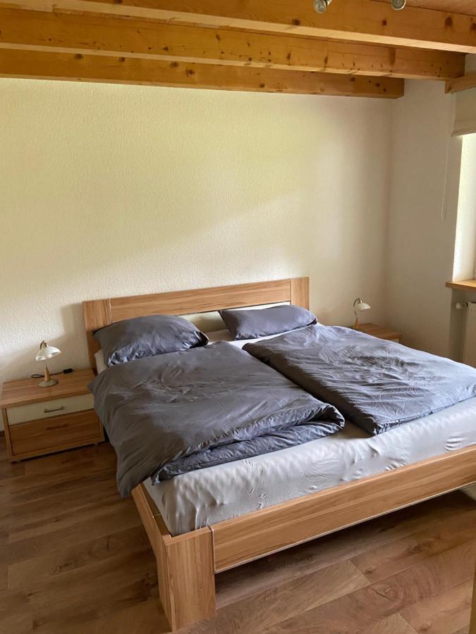 Ferienwohnung Im Herzen Graubuendens Surava Extérieur photo
